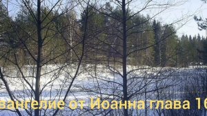 Библия Евангелие от Иоанна глава 16