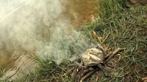 ВЕЧЕРНЯЯ РЫБАЛКА НА ПОПЛАВОЧНУЮ УДОЧКУ