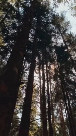 Парфюм для настоящих мужчин: Metaphysica Mangata