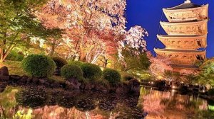 Анимация фото_2