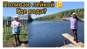 Смелая ящерка на даче🦎🤩😁😍