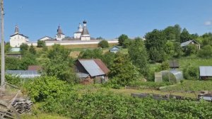 Черенок