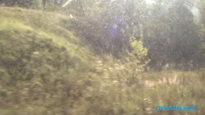 Где-то в Рязанской области #природа #лес