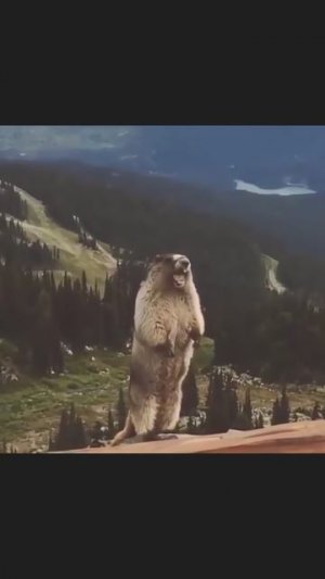 Коричневые гады 🤣