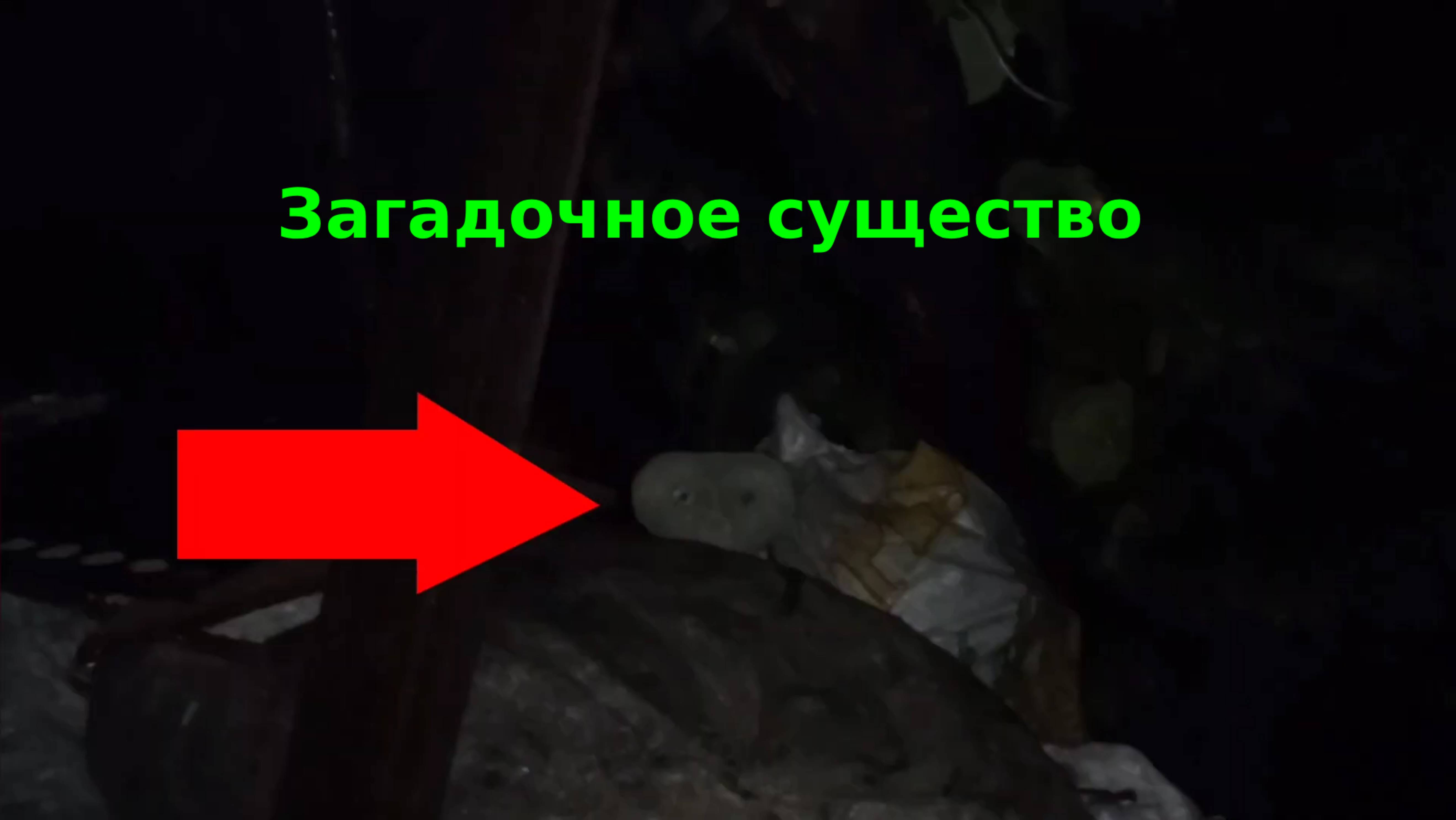 Паранормальное существо неизвестное снят на камеру | Страшные видео призраки