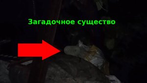 Паранормальное существо неизвестное снят на камеру | Страшные видео призраки