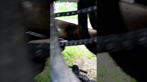 ремонт мотороллера муравей