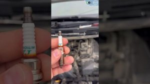 Приехал подписчик на Ниссан Ноут из Находки полная версия