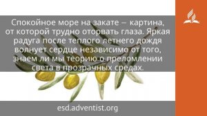 16 июня 2025. Море любви. Под сенью благодати | Адвентисты