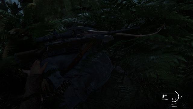 The Last of Us Part 2-17