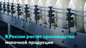 В России растет производство молочной продукции