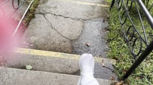 По чём овощи, фрукты в Сочи на территории санатория. Сходила на массаж, отдыхаю в термокомплексе)))