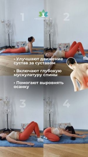 4 упражнения ДЛЯ СПИНЫ, чтобы РАСПРАВИТЬ ПЛЕЧИ и глубоко ВДОХНУТЬ