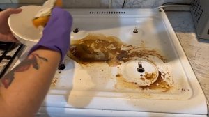 Грязную плиту отмываю "на ура", теперь сверкает от чистоты. Покажу хитрость, как почистить плиту