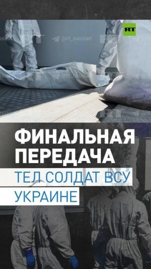 Заключительный этап: Россия передала Украине 1248 тел солдат ВСУ