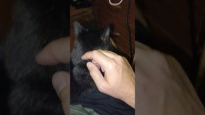 16-06-2025😺👍