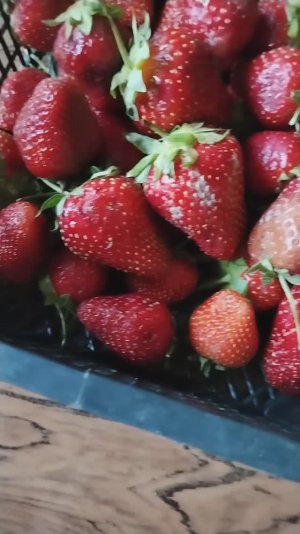 Купила клубнику, оказалась гнилая. Хотя продавец утверждает, что завоз был сегодня свежий.