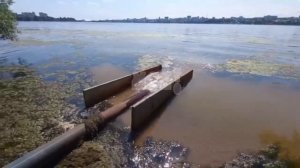 Сливают отходы: около Северного моста прямо в водохранилище сливают отходы. Из вот такой трубы.
