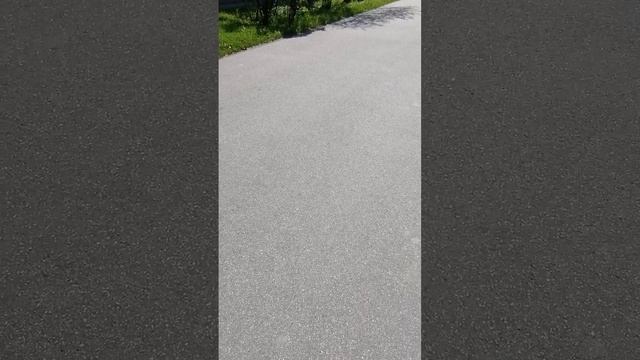 Страдаю от жары