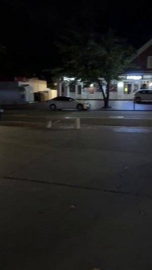 Вышли погулять!