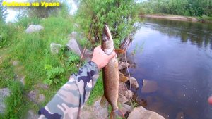 #сезонконтентаRUTUBE Рыбалка. ЩУКА на ЖИВЦА. Северный Урал.2025