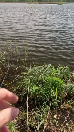 Помогай, сойдет!
