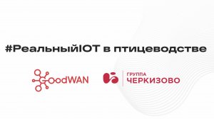 #РеальныйIOT в птицеводстве, GoodWAN & Черкизово