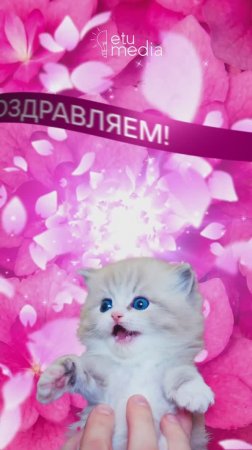 Тебе пришла открытка: ЛЭТИ — 139 лет!