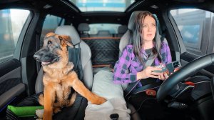 Путешествие с СОБАКОЙ 2200 км на BMW X5M. Знакомлю с родителями, первый раз на речку.