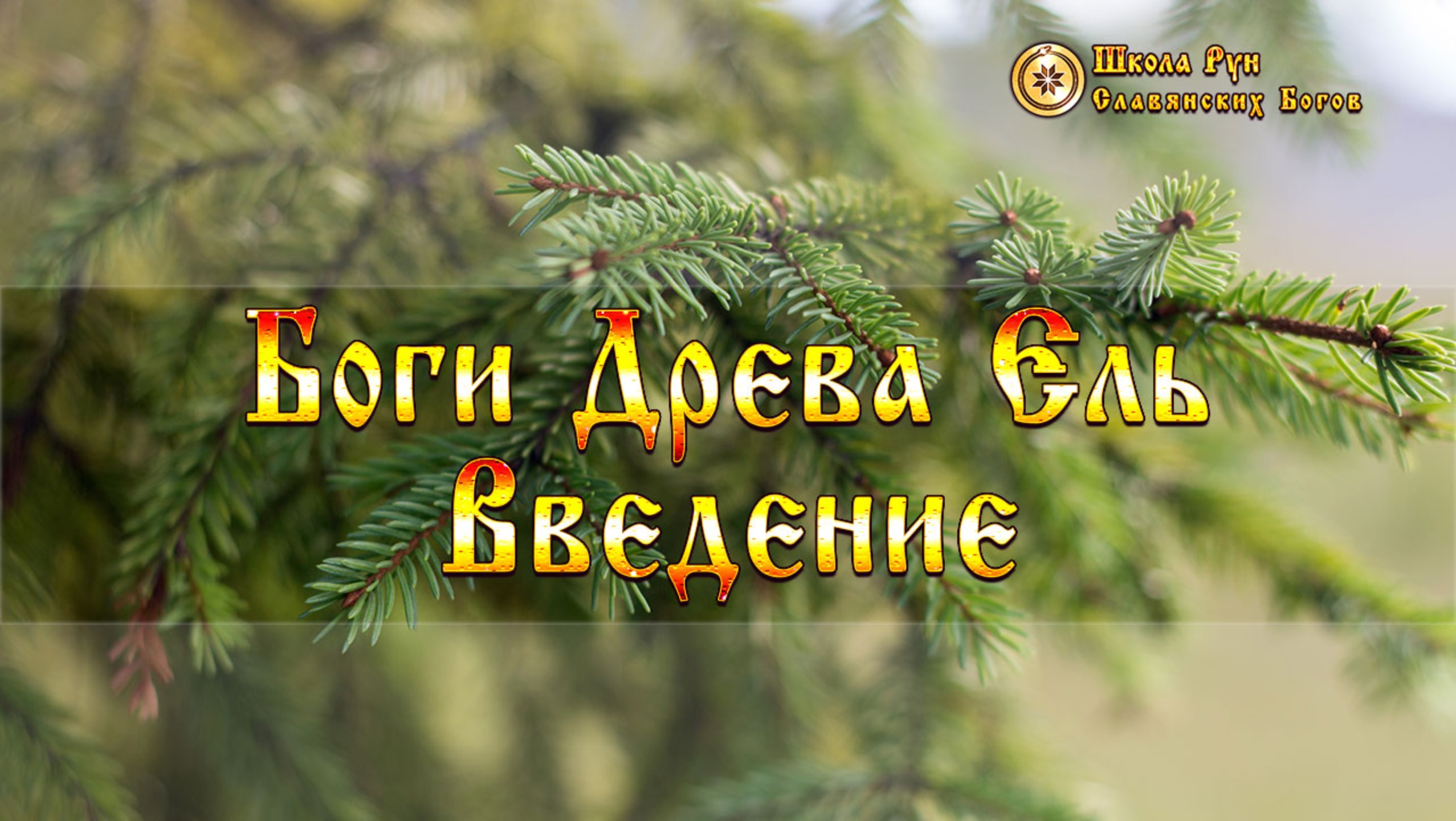Боги Древа Ель - Введение. [Ведзнич]