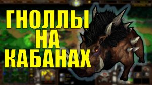 ТОП БОНУС ГНОЛЛЕЙ | SUVIVAL CHAOS