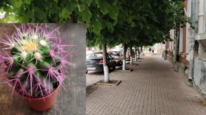 Ейск ! Наконец то пешая прогулка, немного о моём здоровье и состоянии ! 16-06-2025