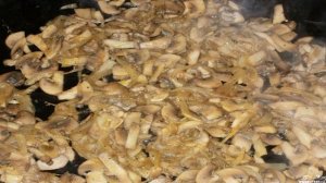 Картофельная запеканка с капустой в духовке