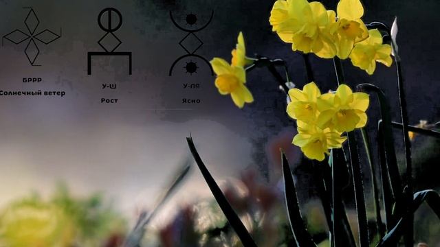 Русские Руны