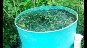 Как избавиться от сорняков и травы на участке навсегда З Секунды!