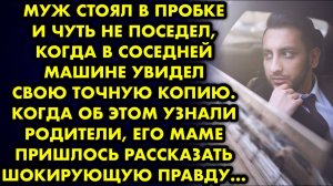 Муж стоял в пробке и чуть не поседел, когда в соседней машине увидел свою точную копию. Когда об...