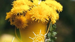 Самого доброго утра желаю 😊