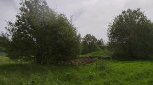 50:32:0020102:530