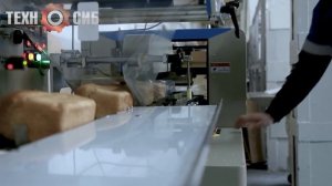 DXDZ-600 Упаковка хлеба + Нанесение даты и этикетки