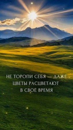 Неспеша вперёд🐾 ©DegDi🔥