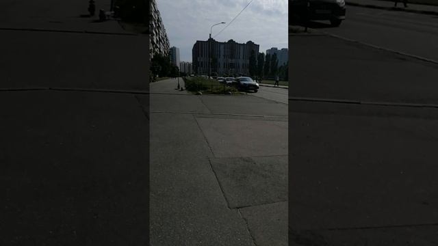 Тыц-тыц