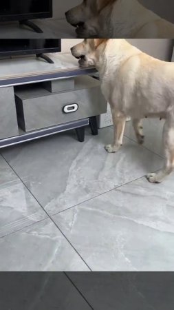 Дружба ли это или конкуренция)