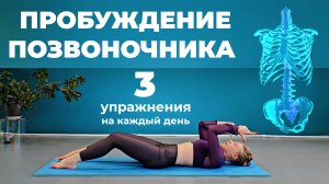 УПРАЖНЕНИЯ ОТ БОЛИ В СПИНЕ - ЙОГА ДЛЯ ПОЗВОНОЧНИКА И УЛУЧШЕНИЯ ОСАНКИ • УПРАЖНЕНИЯ ДЛЯ СПИНЫ