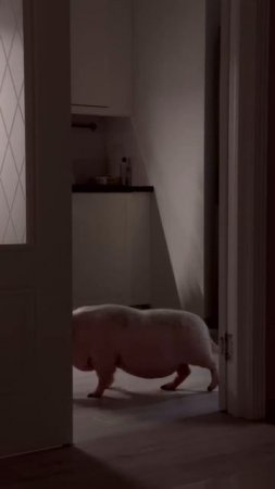 Ночное, можно не смотреть...