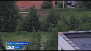 Медведь вышел к людям в Усть-Илимске