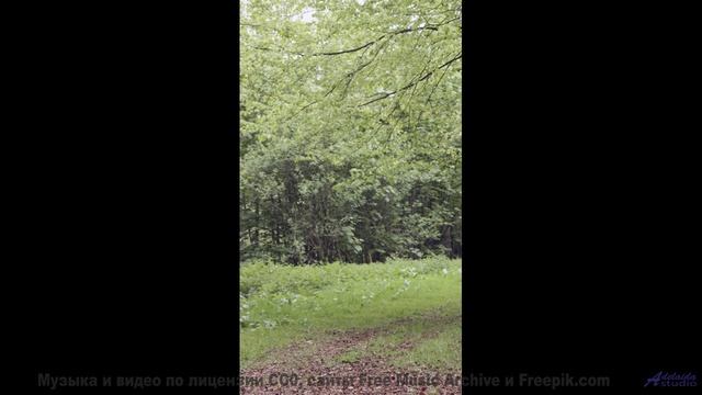 Погружение в природу становится полным благодаря мелодии - Growing -- Fascinations Grand Chorus -- L