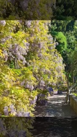 🌍 Hotel Villa Cipressi, озеро Комо, Италия