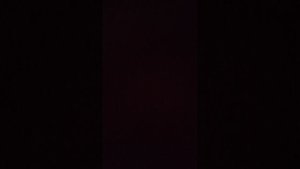 видео про хомячков + обучение Вики как со мной жить