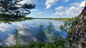 Вездеход - расширяет горизонты.
