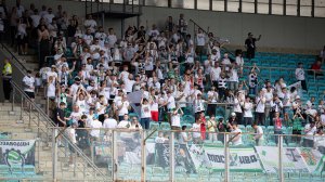 Болельщики футбольного клуба Торпедо. Фанатская трибуна